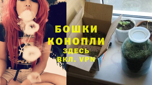 сатива Баксан