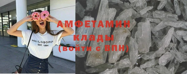 сатива Баксан